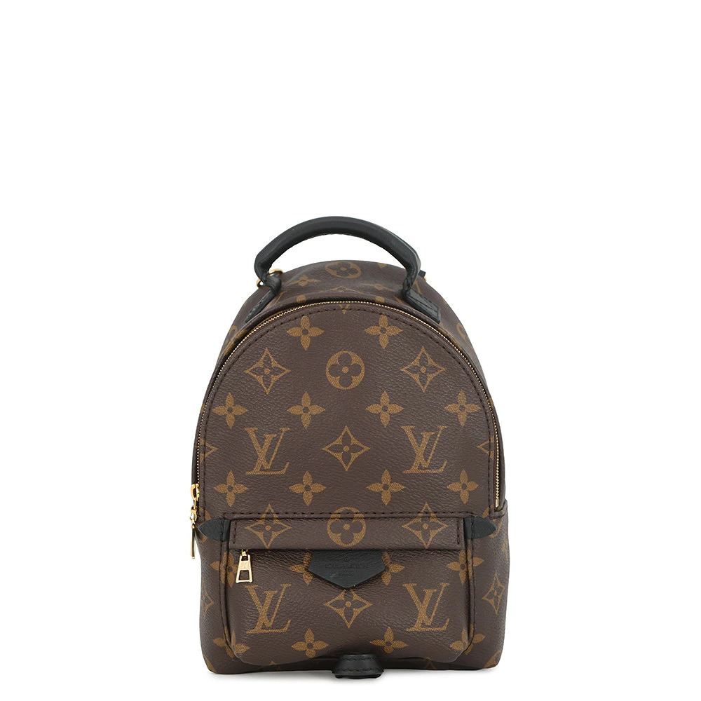 Louis Vuitton Monogram Palm Springs Backpack Bag